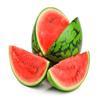 هندوانه (Watermelon)